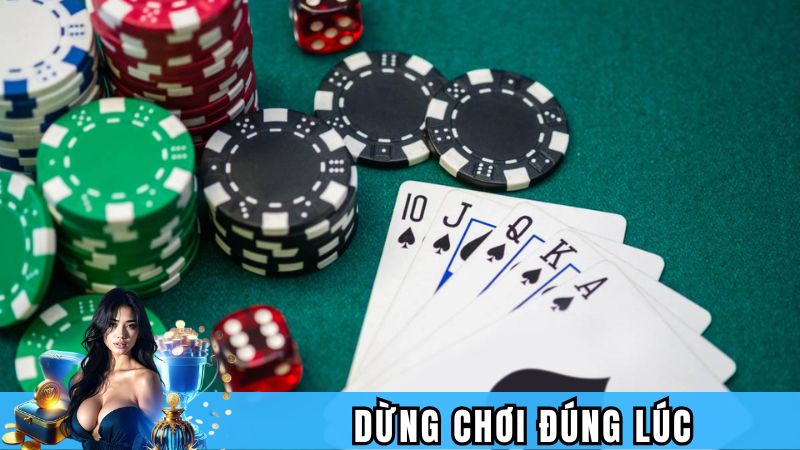Nên biết dừng chơi đúng lúc